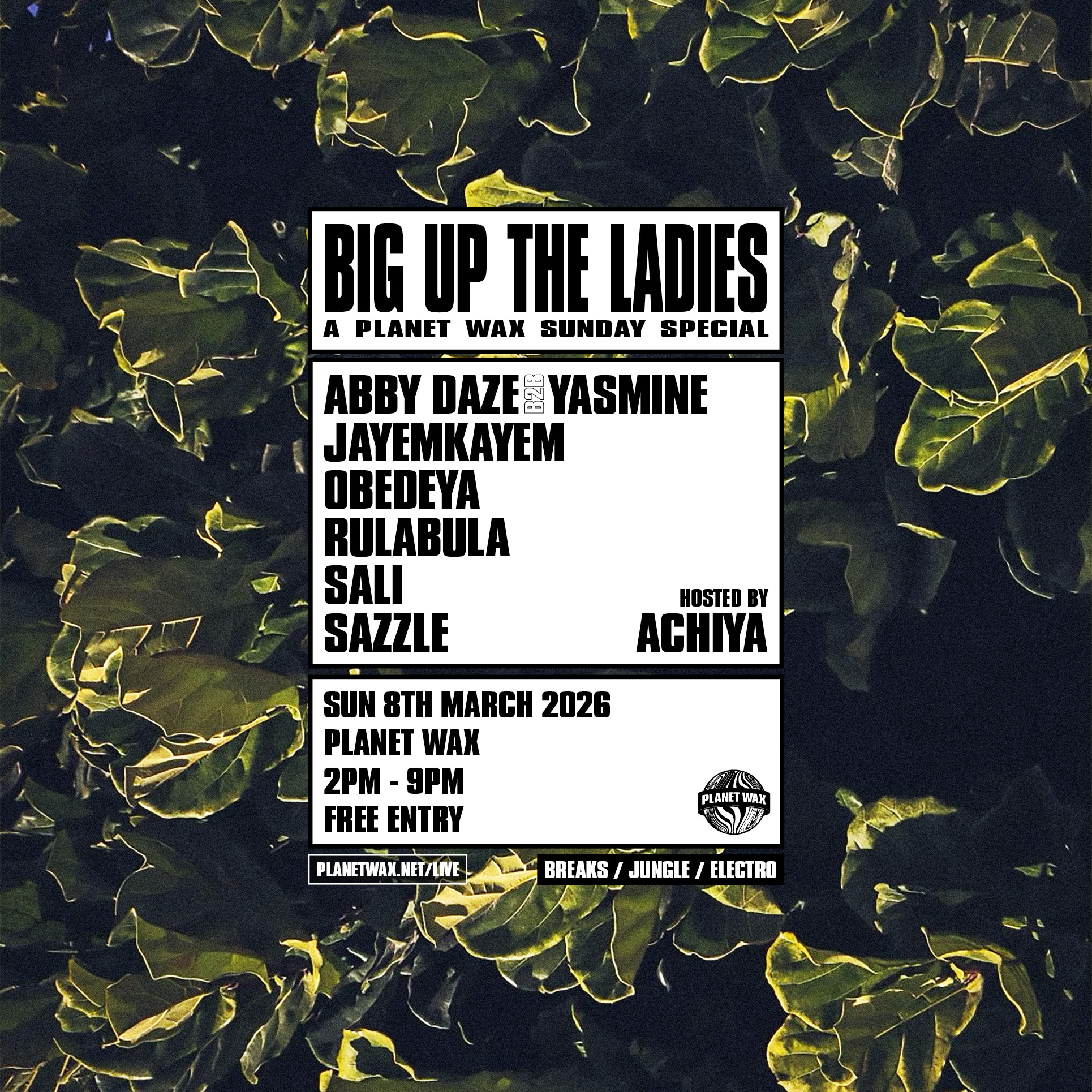 Flyer