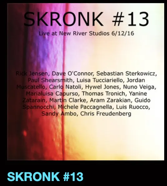 Skronk #13