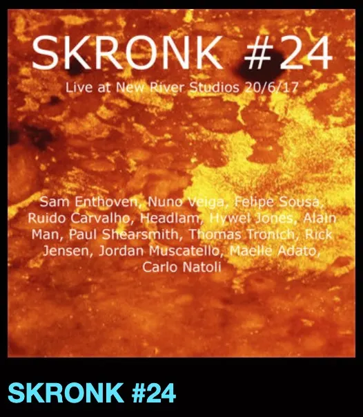 Skronk #24